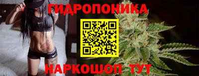 хмурый Вышний Волочёк