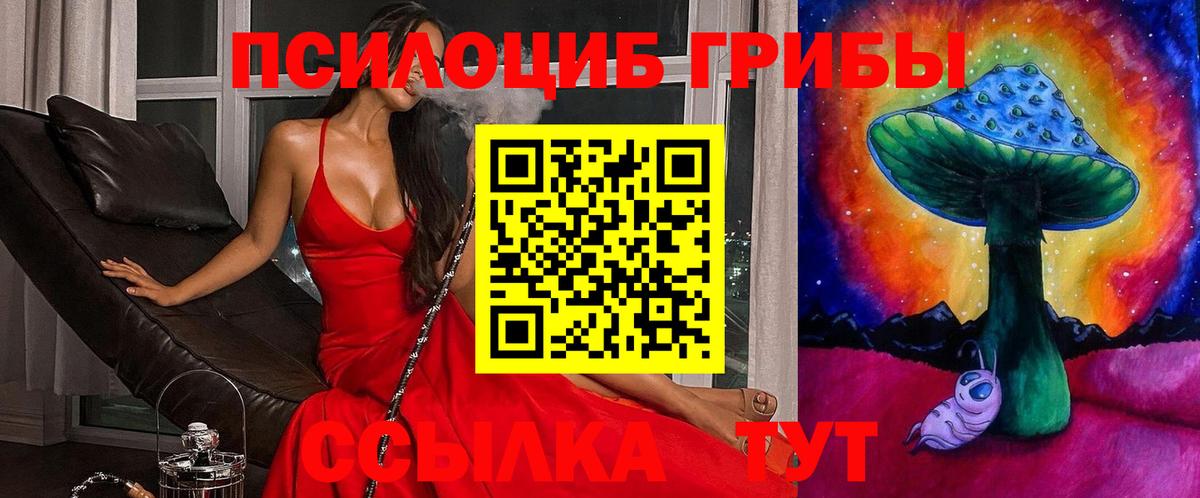 дарнет шоп  Галлюциногенные грибы мухоморы  Вход с VPN  Бахчисарай 